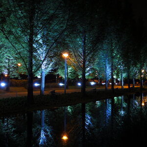[DSC-WX1] 008.jpg
